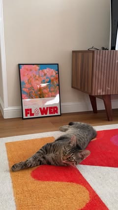 Юля | уют и slow life в Петербурге