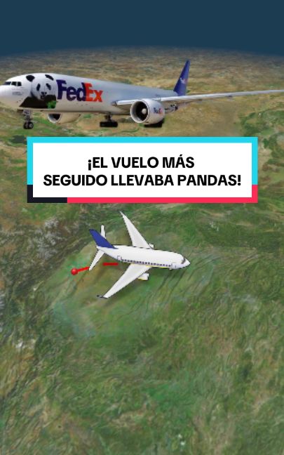 MinutoFinal