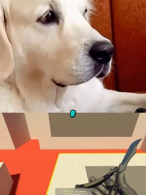 TWITCH CLIP