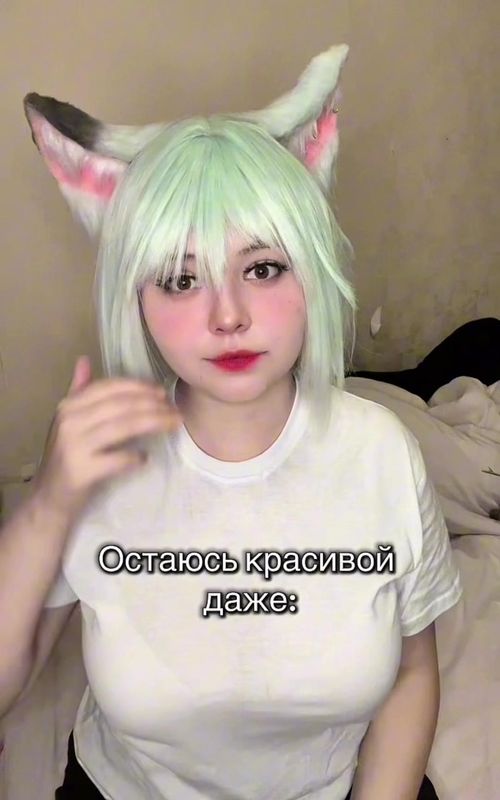 тгк: Креветка Kimuru 💗