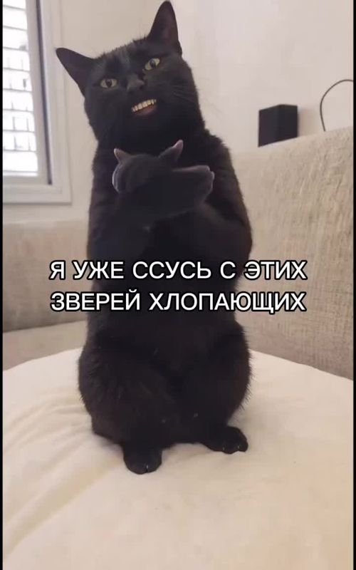 Карс