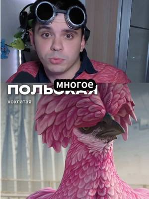 тгк: @prepodsteam