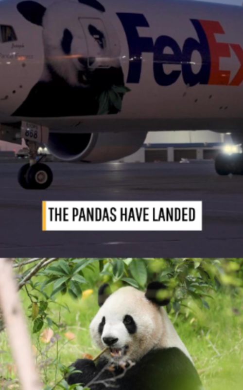 Frontline Story