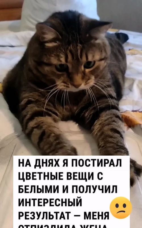 Марсель