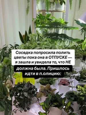 the world me knew (luxury)